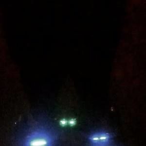 Meet your Posher, Quincy